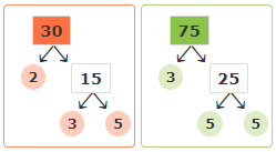 Factor Tree